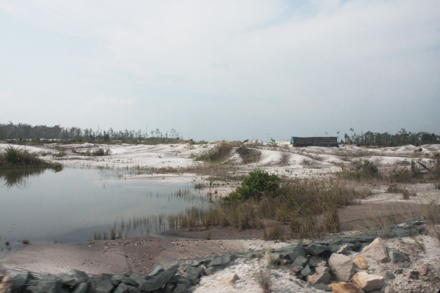 11 degraded deforested land